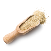 https://bioliquor.pumpkintribe.com/wp-content/uploads/2017/05/ingredients_transparent_02.png