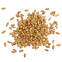https://bioliquor.pumpkintribe.com/wp-content/uploads/2017/05/ingredients_transparent_03.png